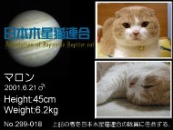日本木星猫連合会員証_小.jpg